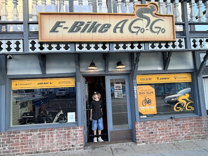 E-Bike-A-Go-Go Picture 8