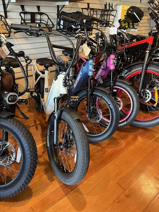 E-Bike-A-Go-Go Picture 7