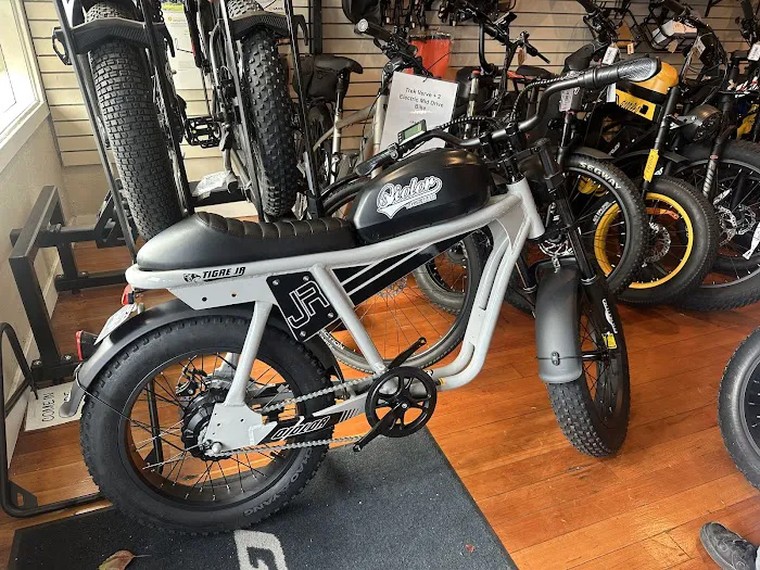 E-Bike-A-Go-Go Picture 6