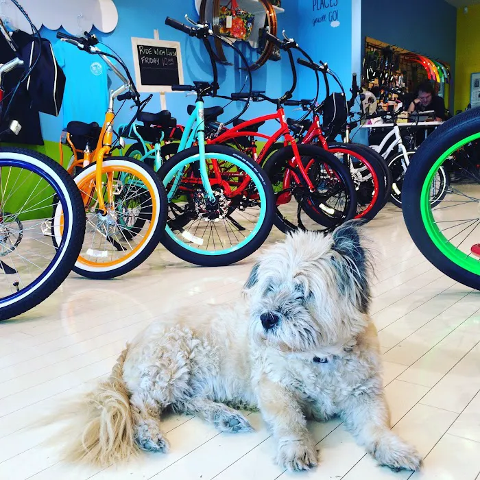Pedego 101 Electric Bikes Picture 7