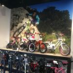 Trek Bicycle Westlake Village