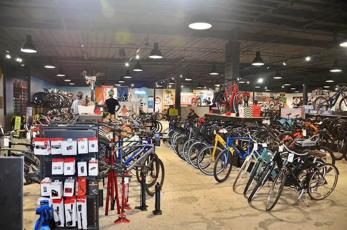 Trek Bicycle Westlake Village Picture 6