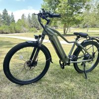 D E I L Y K - Electric Bikes Shop ico