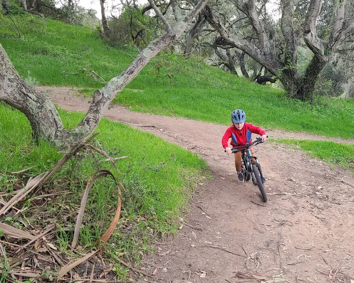 Prevelo Picture 10