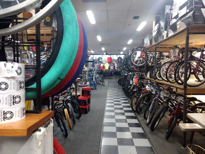 Omega Bicycle Shop Picture 4