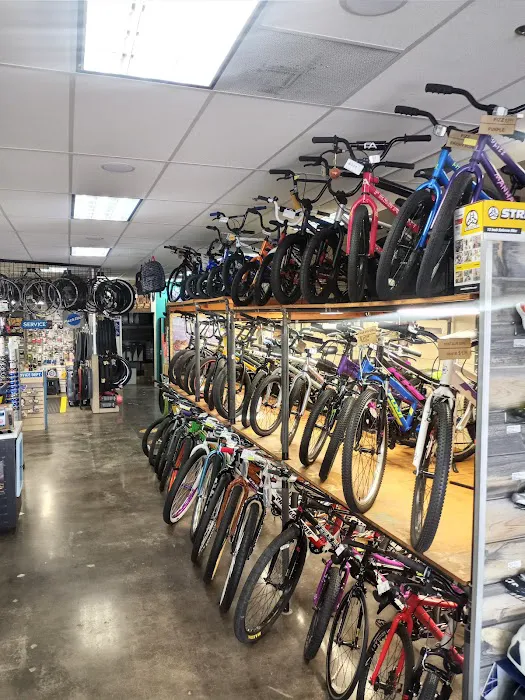 Omega Bicycle Shop Picture 3