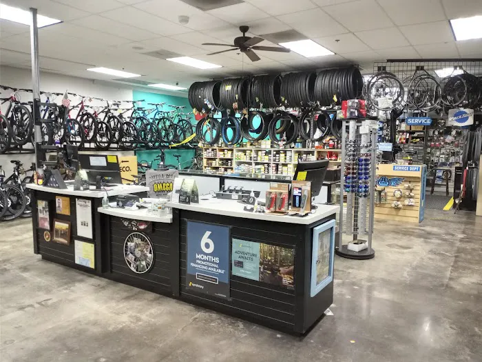Omega Bicycle Shop Picture 5