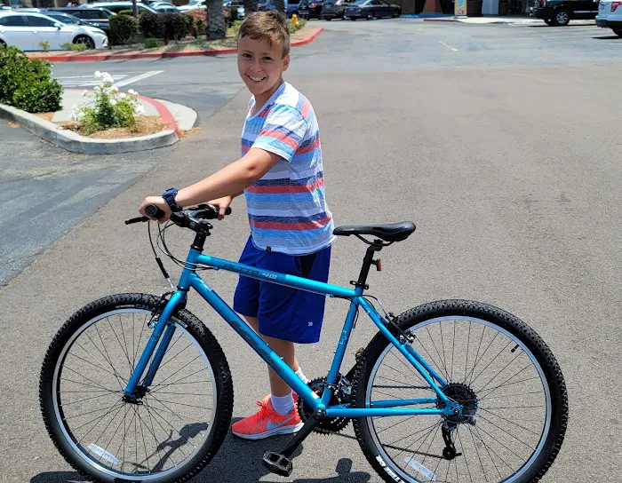 Omega Bicycle Shop Picture 8