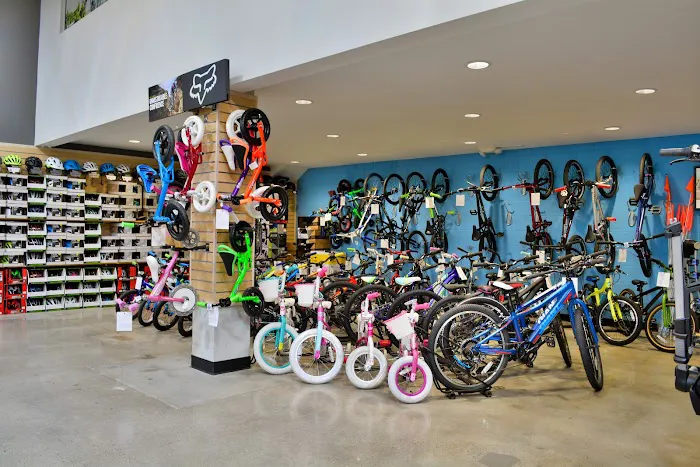 NP Bike Shop Picture 5
