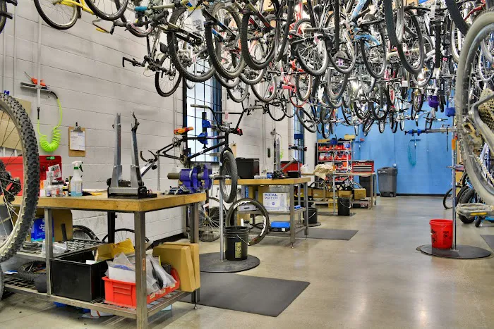 NP Bike Shop Picture 7