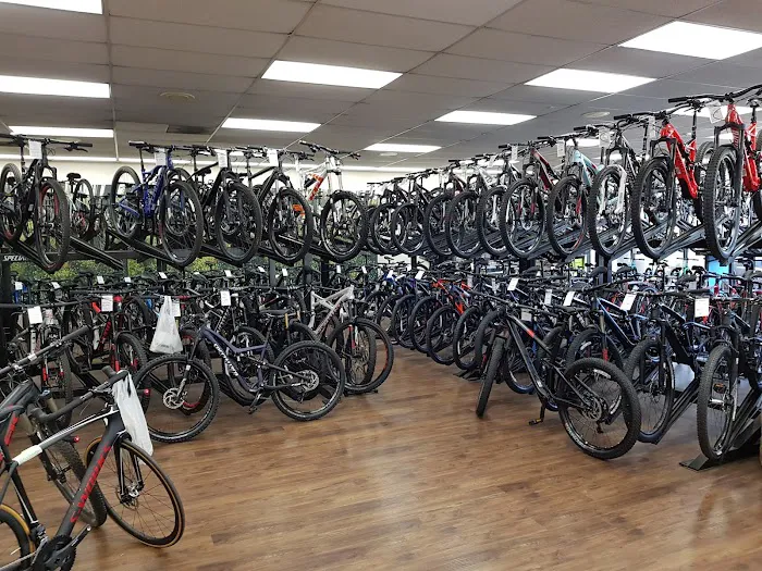 Michael's Bicycles Picture 2