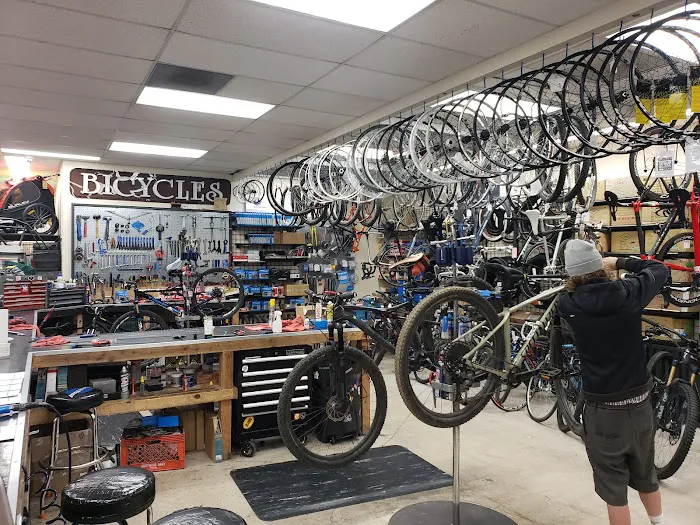 Michael's Bicycles Picture 7