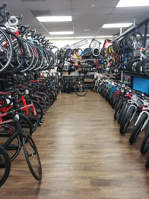 Michael's Bicycles Picture 9
