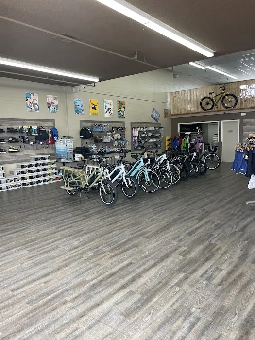 Alan's Bike Shop Picture 3