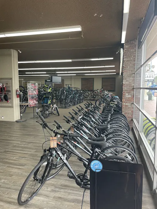 Alan's Bike Shop Picture 5
