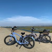 Blue Dog Ride ico