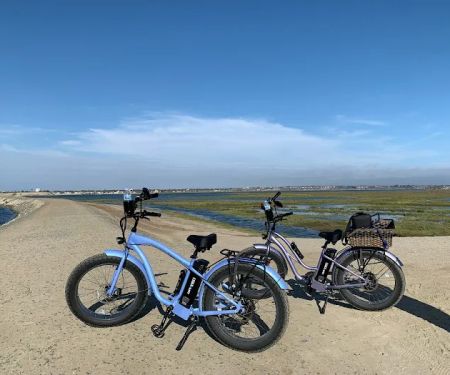 Blue Dog Ride
