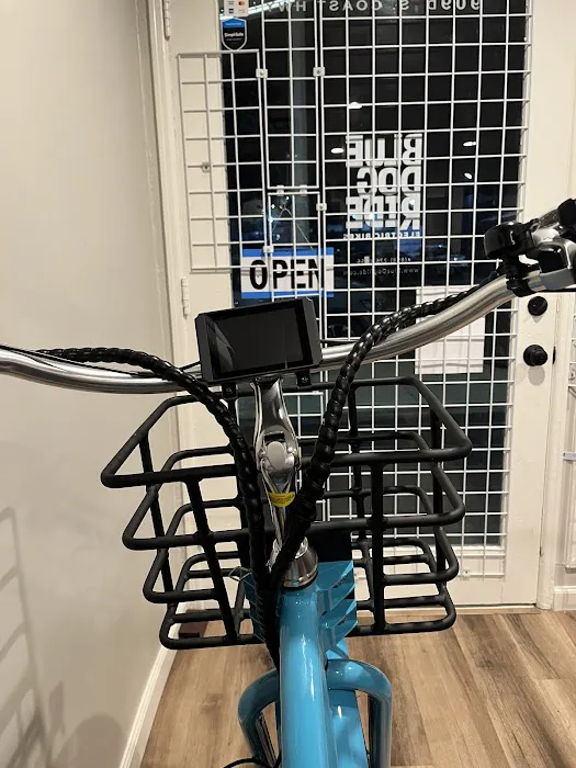 Blue Dog Ride Picture 4