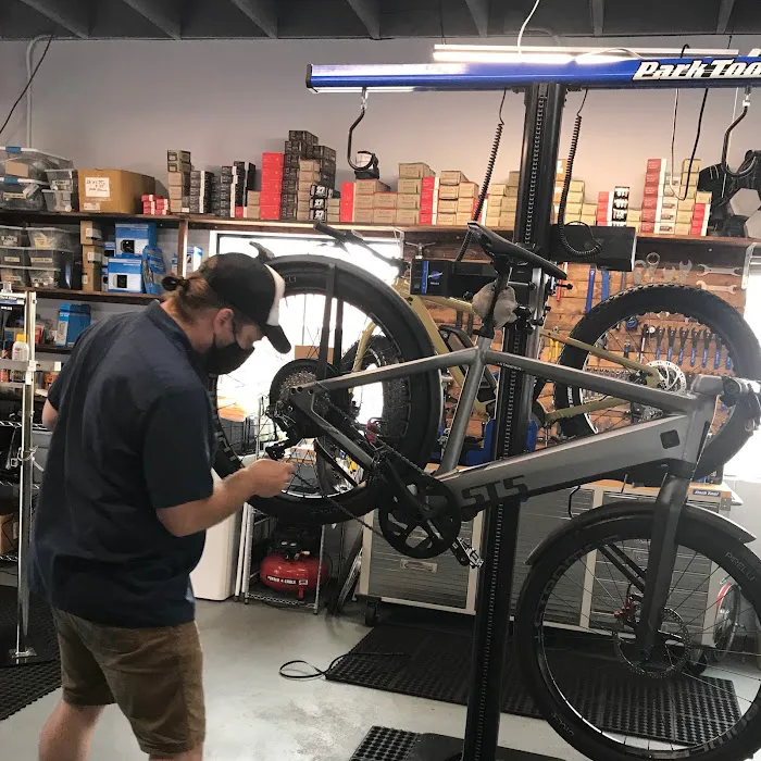 Mostly E-Bikes Picture 5