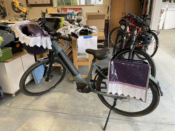 Mostly E-Bikes Picture 3