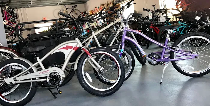 Mostly E-Bikes Picture 4