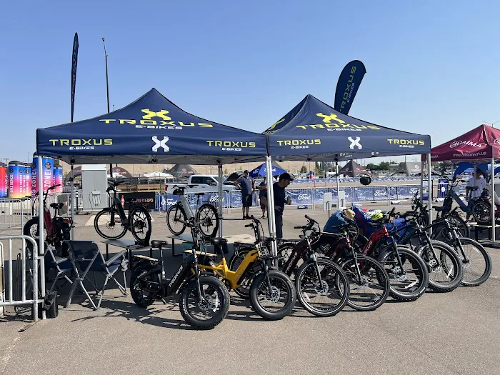 Troxus--ebike Picture 1