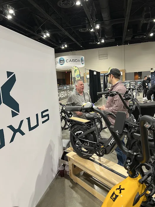 Troxus--ebike Picture 2