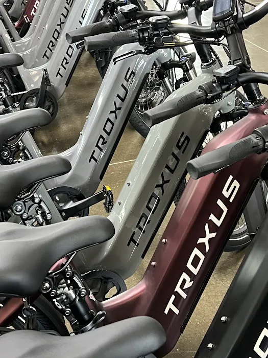 Troxus--ebike Picture 9