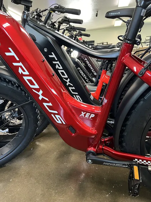 Troxus--ebike Picture 8