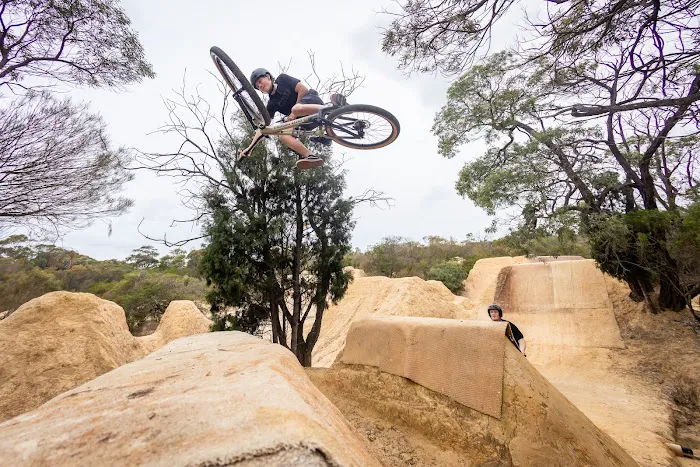 BikesOnline USA Picture 9