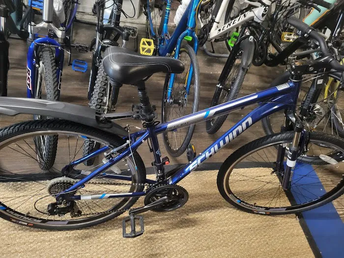 BingoBikes Plus LLC Picture 4