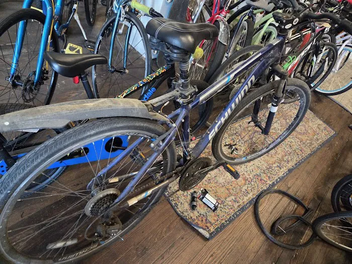 BingoBikes Plus LLC Picture 3
