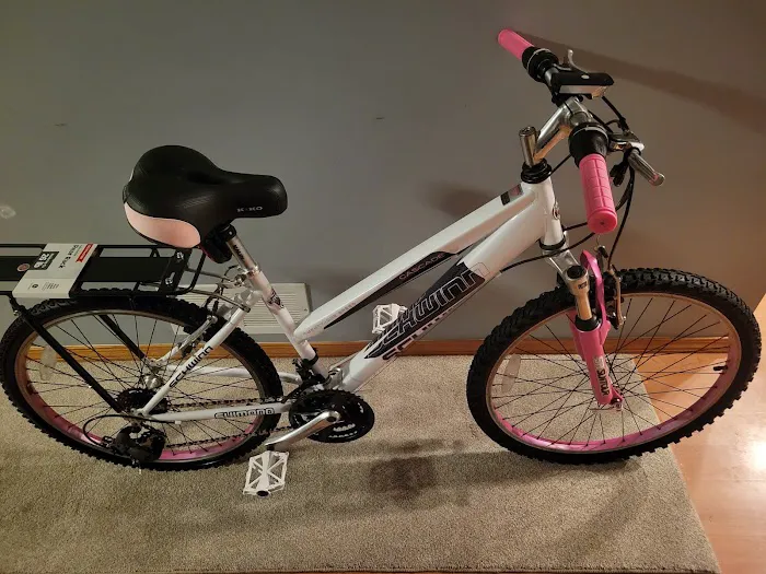 BingoBikes Plus LLC Picture 6