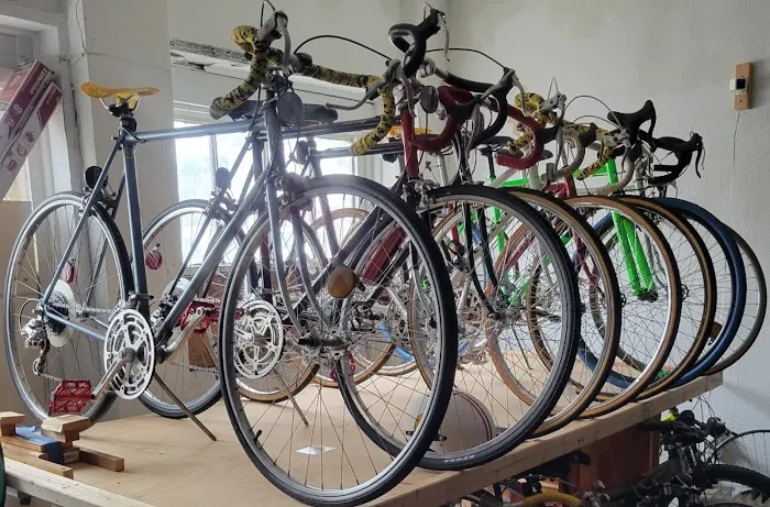 BingoBikes Plus LLC Picture 5