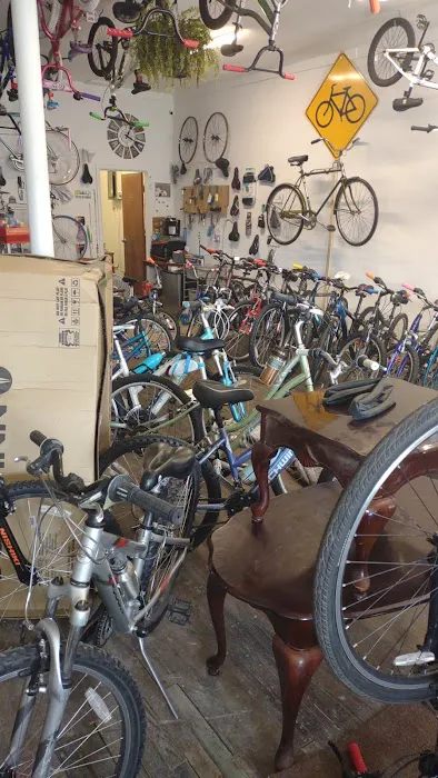 BingoBikes Plus LLC Picture 8