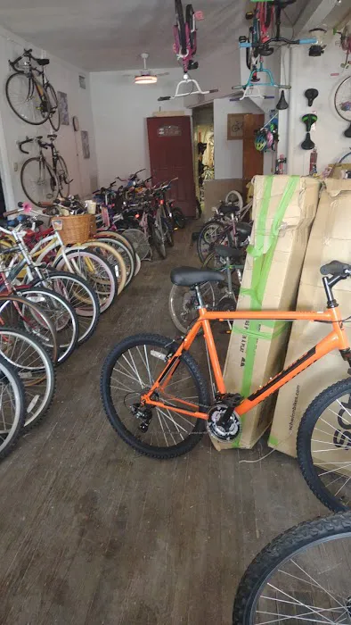 BingoBikes Plus LLC Picture 10
