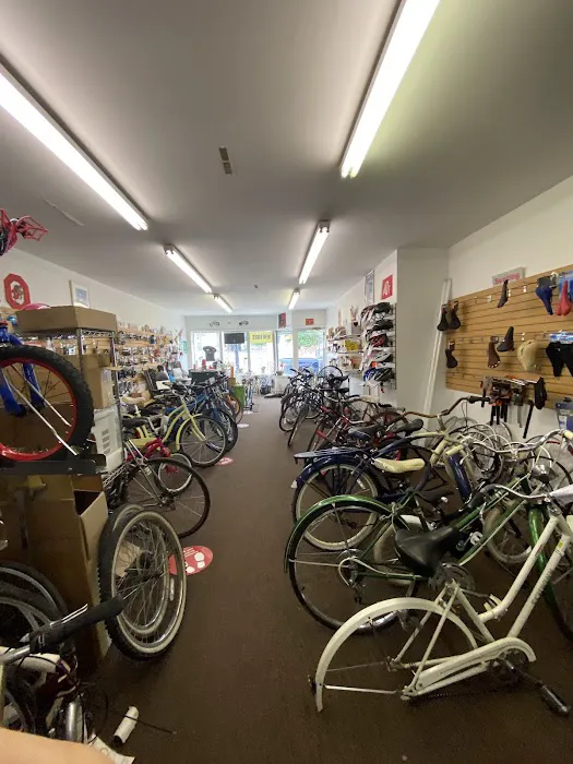 Dandy Bikes Picture 7