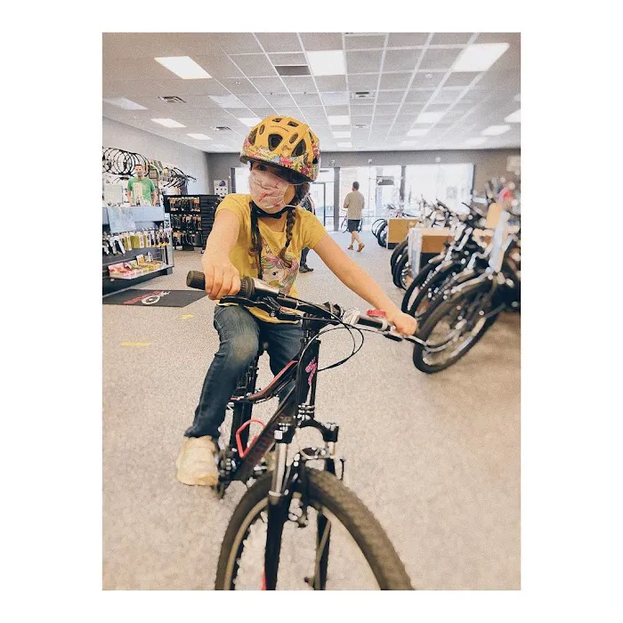 Bicycle One Picture 5