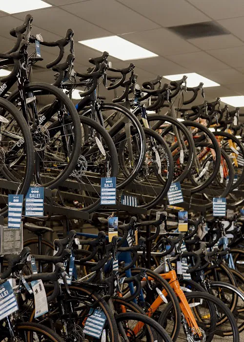 Bicycle One Picture 3