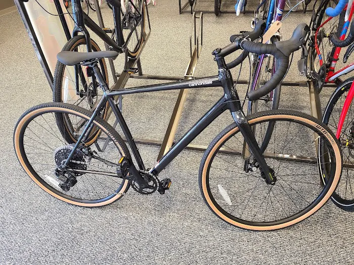 Bicycle One Picture 7