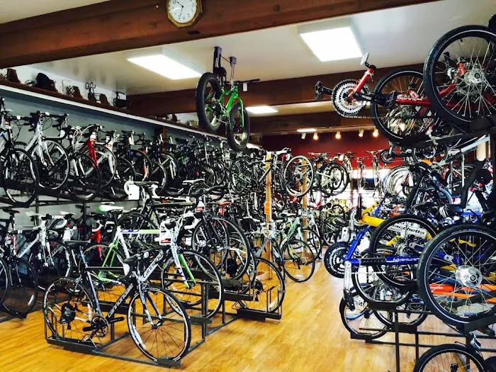 Bicycle One Picture 9