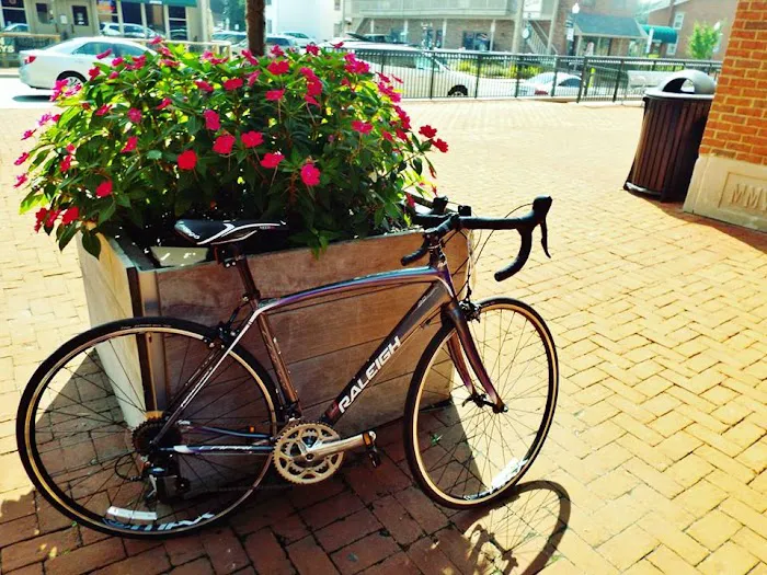 Bicycle One Picture 10