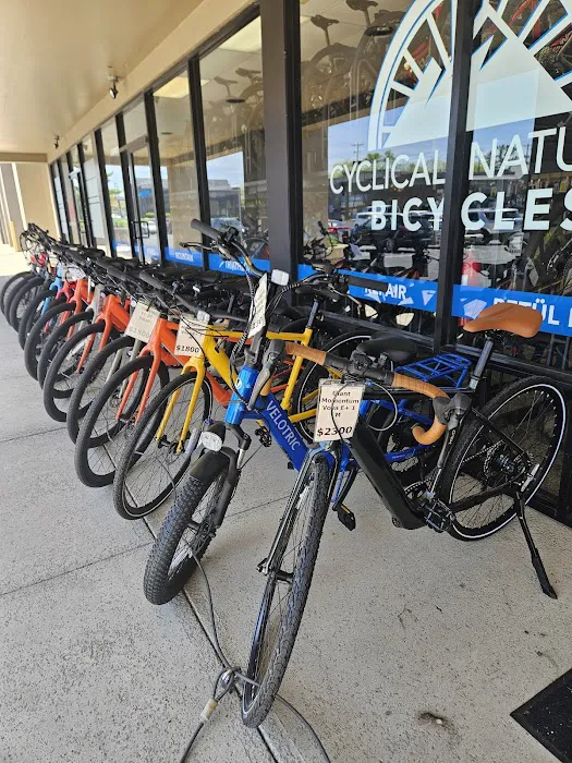 Cyclical Nature Bicycles Picture 2
