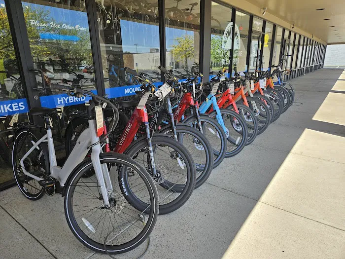 Cyclical Nature Bicycles Picture 5