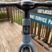 Lost in the Woods at Alum Creek ico