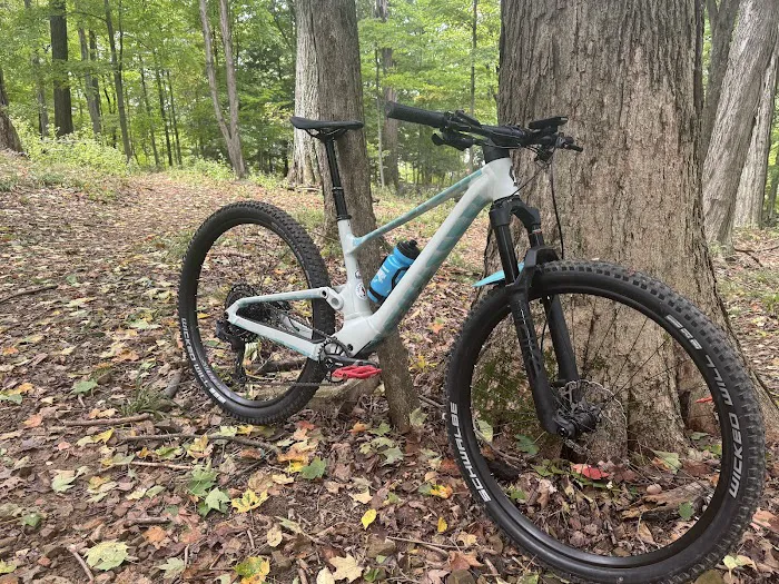 Lost in the Woods at Alum Creek Picture 3