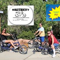 Biketricity ico