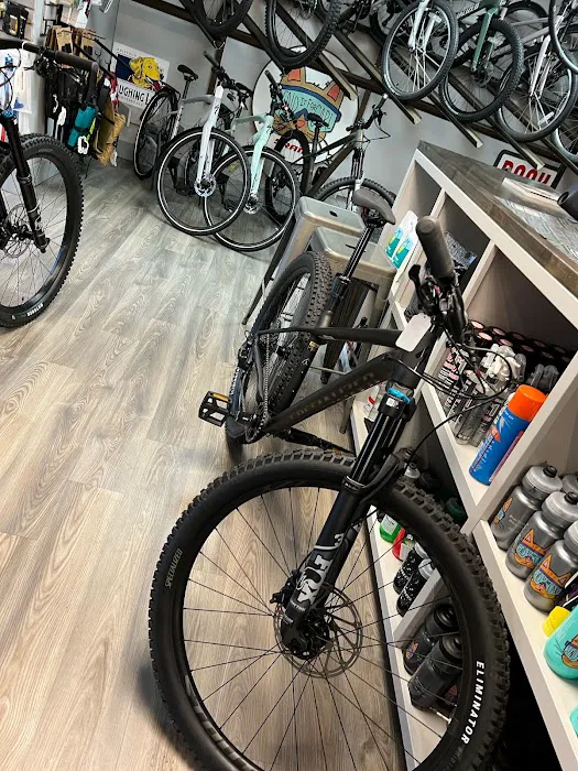 Bicycle Experience Bike Shop Picture 9