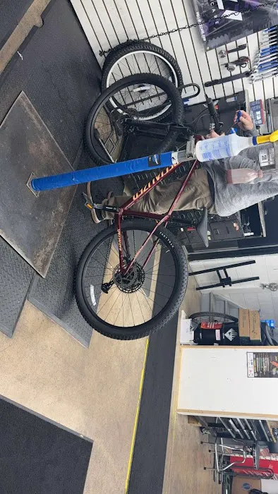 Ted's Bicycles Inc Picture 9