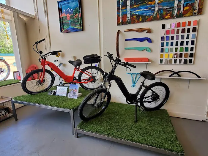 inclinE-Bikes Picture 6
